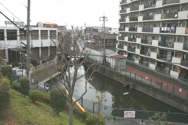 (2)築留堤防から見た「大和川分水築留掛かり」